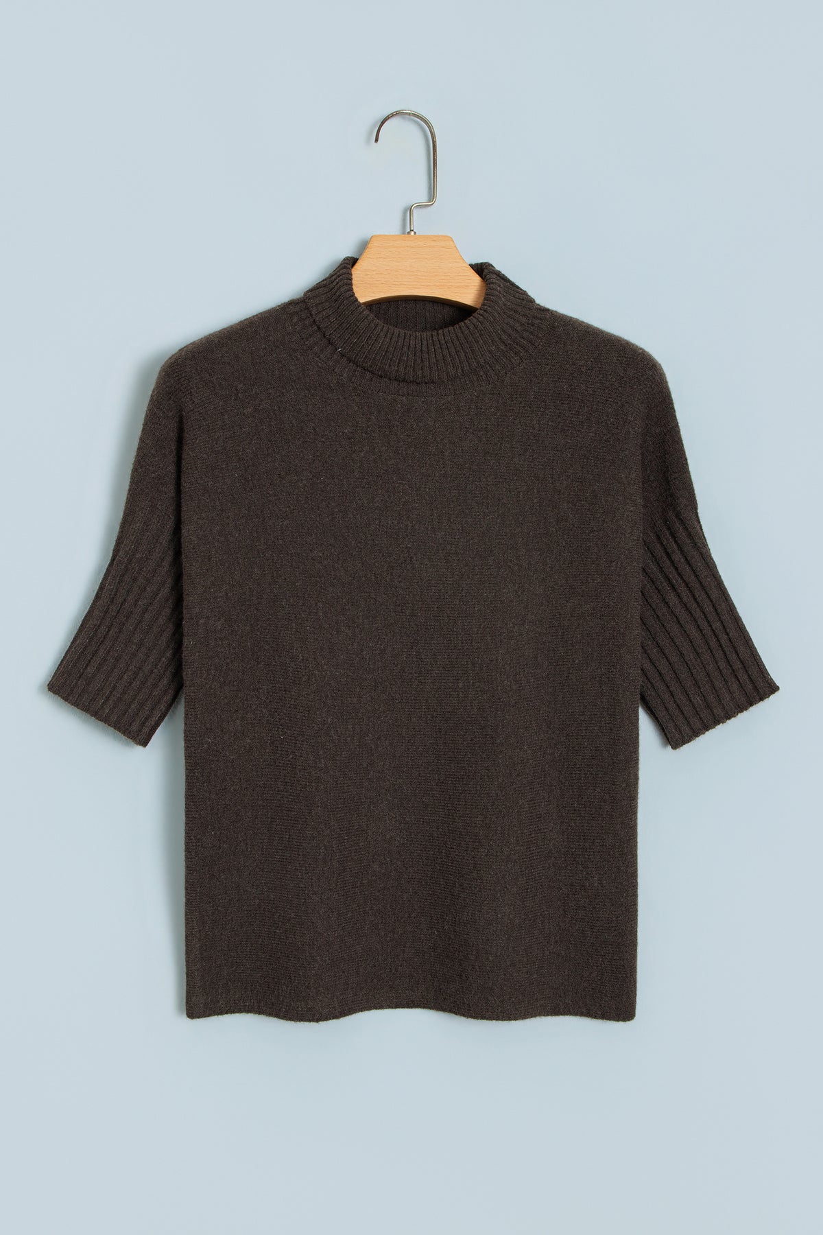 Burgundy Ribbed Trim High Neck Short Sleeve Casual Sweater